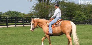 western supple cones