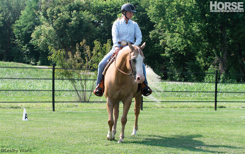 Western palomino horse bending