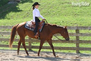 Western Pleasure Tips