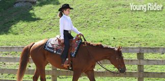 Western pleasure rider