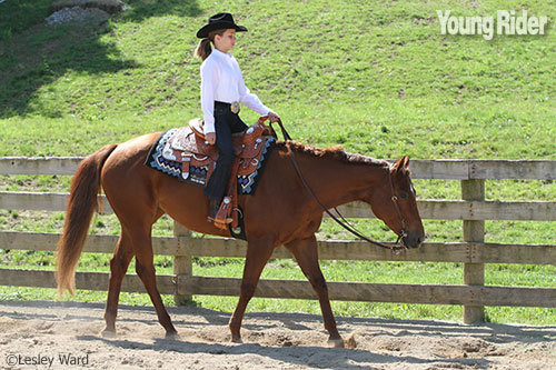 Western pleasure rider