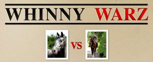 What is Whinny Warz?
