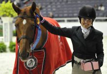 wihs champions danhaki