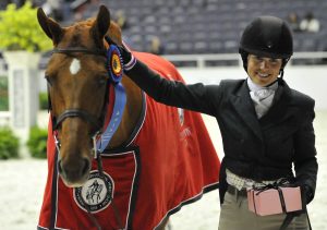 The Washington International Horse Show