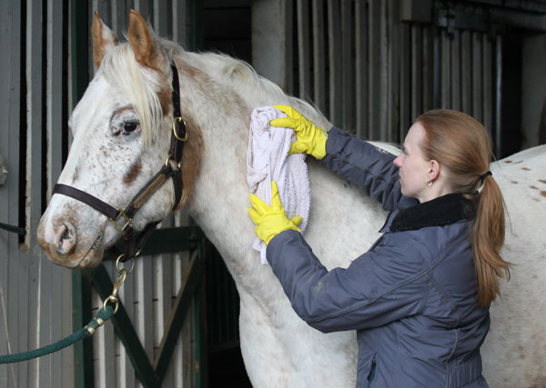 A Winter Spa Day for Your Horse