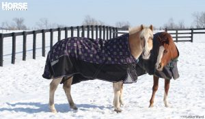 Horse Health in Winter: Blanketing