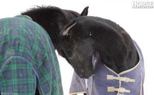 The Near Side: Annoying Things about Winter