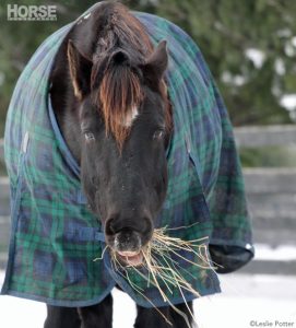 Preventing Cold Weather Colic