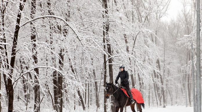 Riding a horse in winter