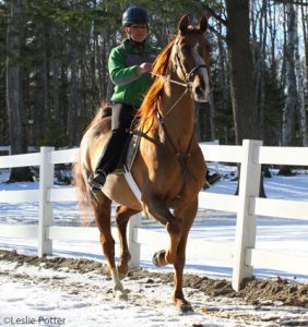 Horse Health in Winter: Winter Riding