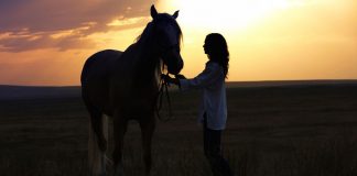 Woman and horse at sunset