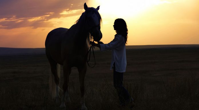 woman and horse at sunset