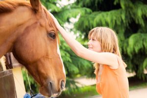 What is Equine Assisted Psychotherapy?