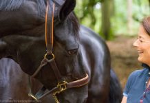 Woman with a black horse