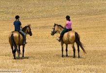 women riding horses