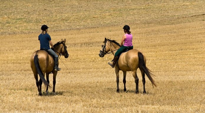 women riding horses