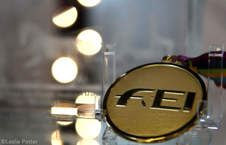 North Carolina Could Host the 2018 World Equestrian Games