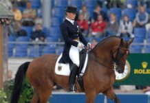 Volunteers Needed for the 2010 World Equestrian Games horse world games
