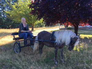 Your Horse Life: Small Wonder