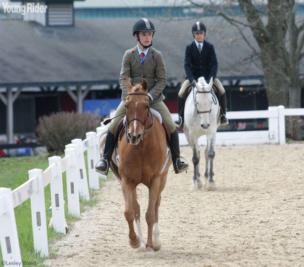 Showing Your Young Horse