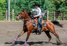 yr cowboy mounted shooting