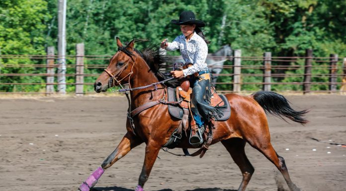 yr cowboy mounted shooting