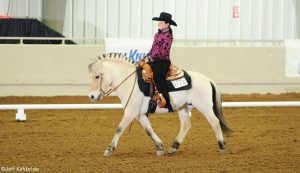 Dressage Cowboy Style