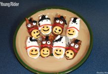 Cutest Cookies Ever! horse cookies