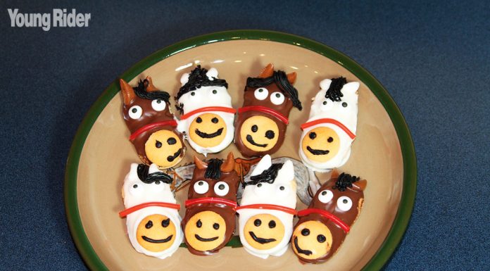 horse cookies