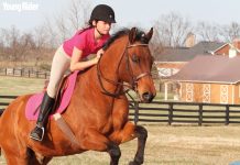 yr neck strap for jumping