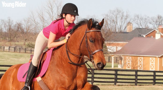 yr neck strap for jumping