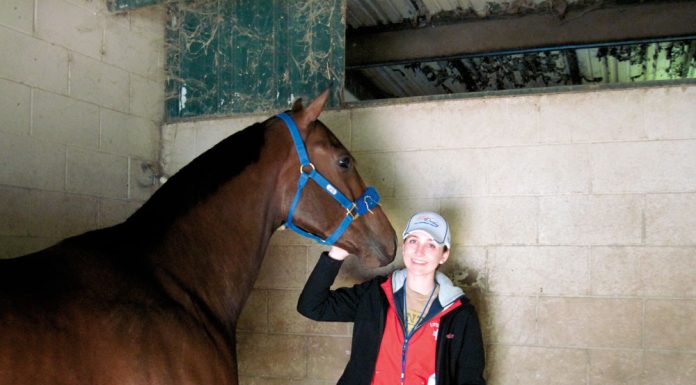 yr nre annise with horse