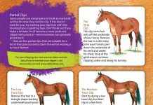 Partial Clips yr partial clips