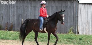 Young Rider on a Tennessee Walking Horse