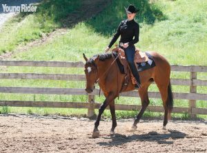 Make Your Horse More Supple
