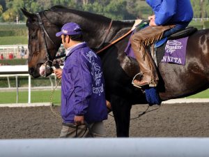 Zenyatta Welcomes a New Filly