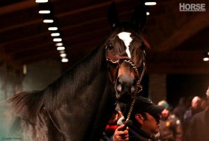 Thoroughbred legend Zenyatta welcomes an Easter filly