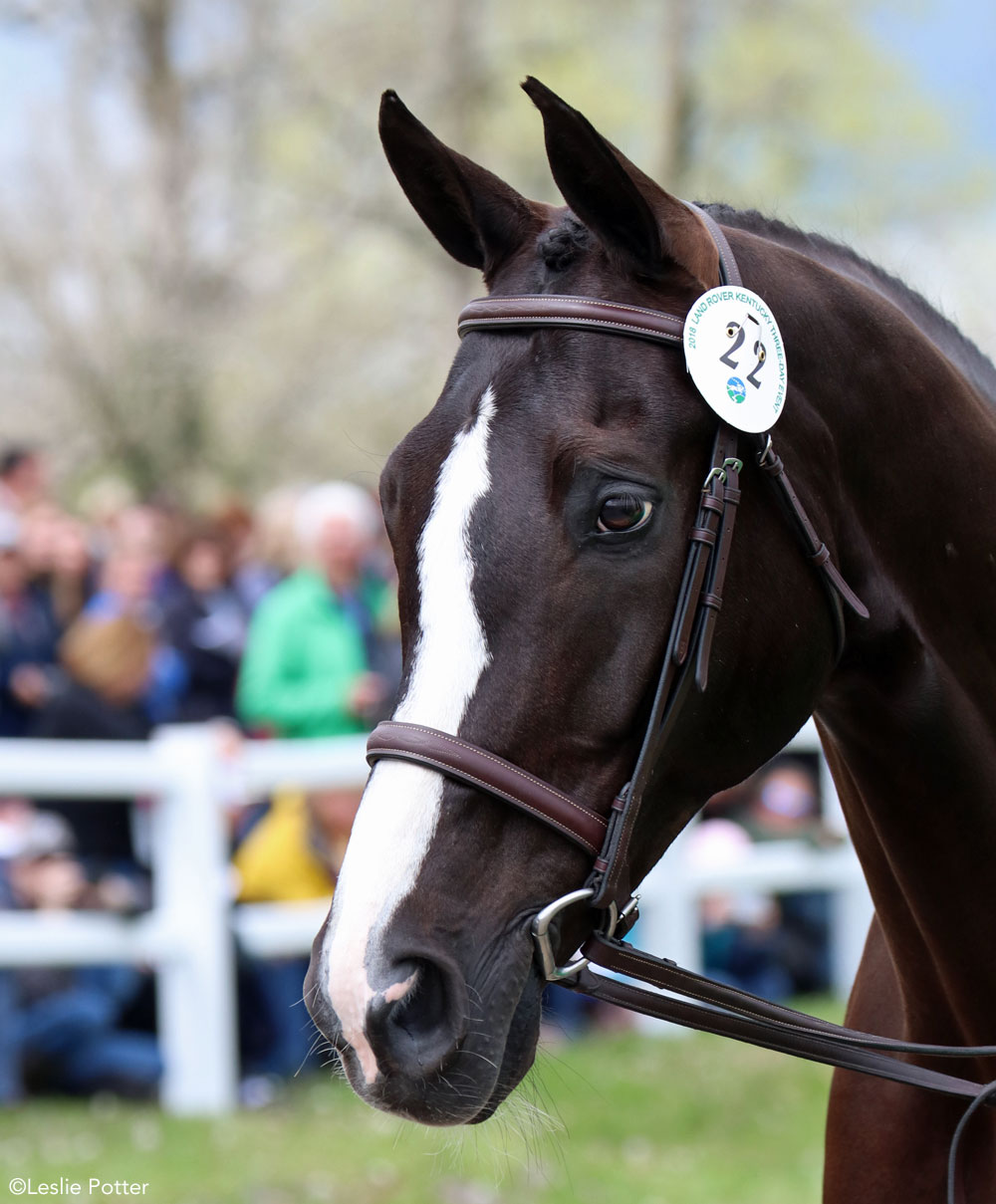 2018 Rolex Kentucky Three-Day Event