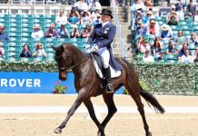 marilyn little rf scandalous dressage