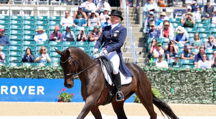 marilyn little rf scandalous dressage