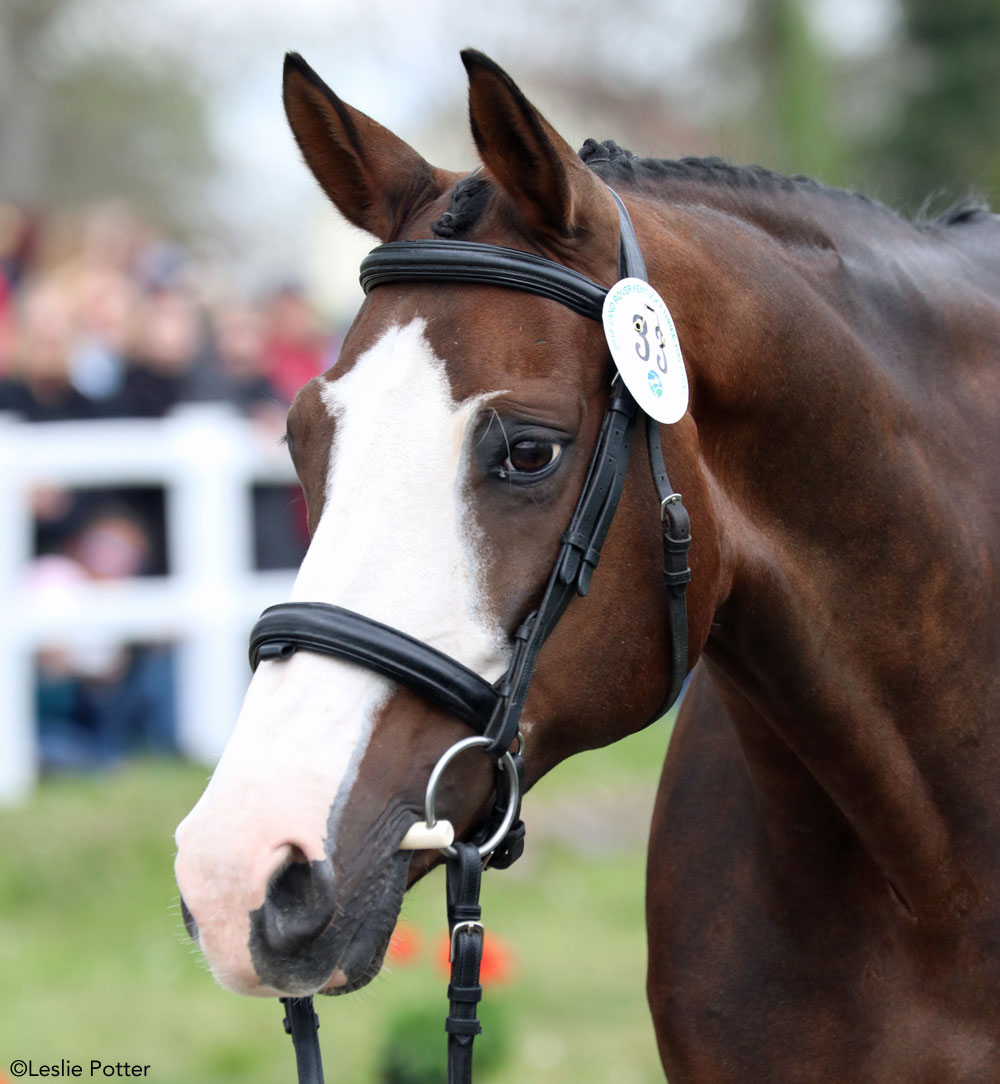 2018 Rolex Kentucky Three-Day Event