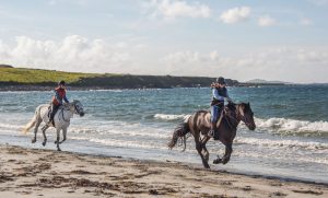 Emerald Isle Adventure on Horseback