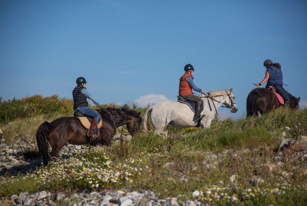 Riding a Horse in the Emerald Isle of Ireland