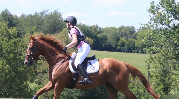 Galloping cross-country