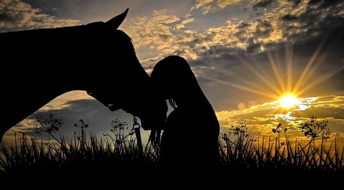 Horse and woman sunset silhouette