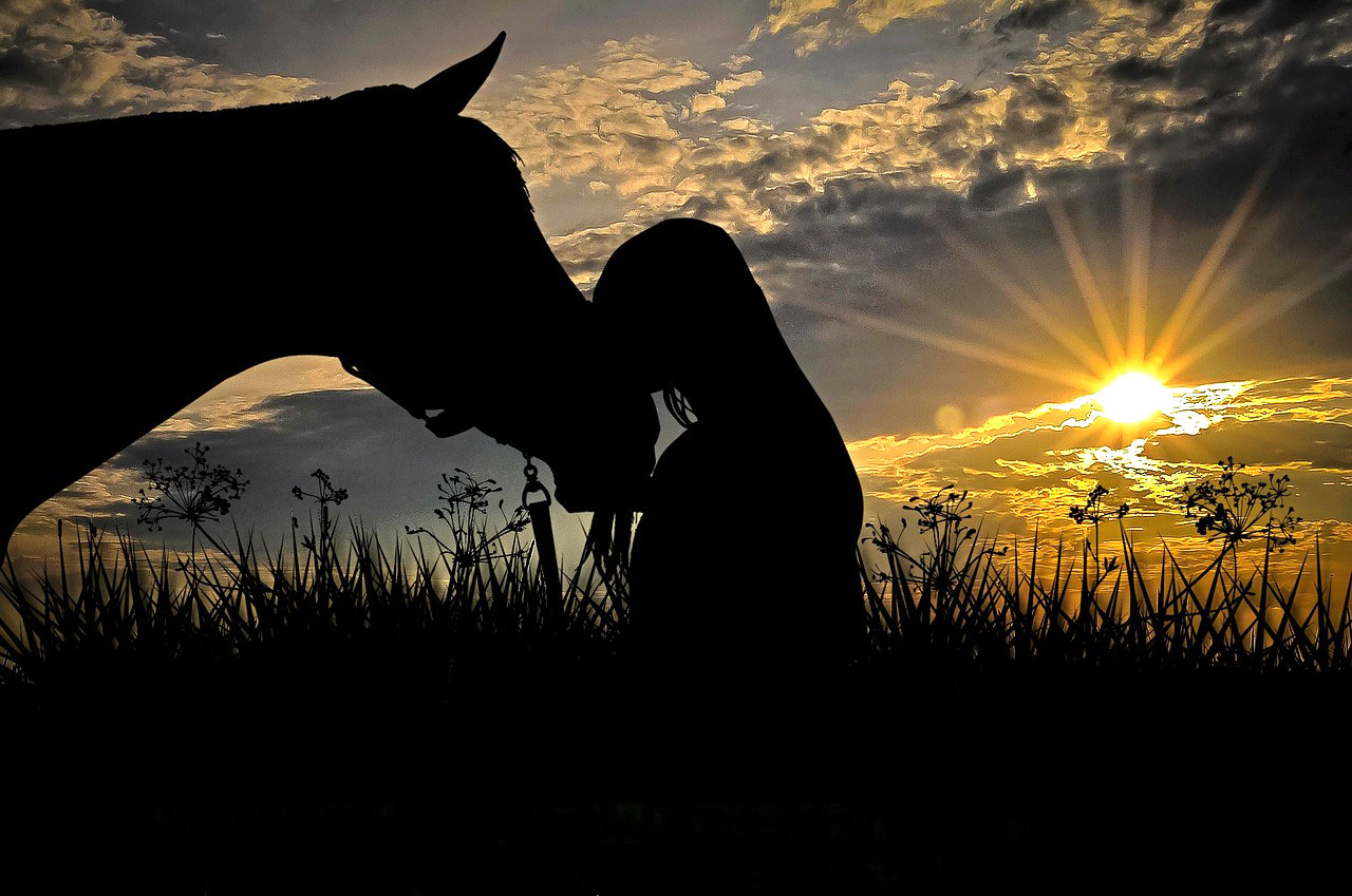 Horse and woman sunset silhouette illustrating the healing power on mental health