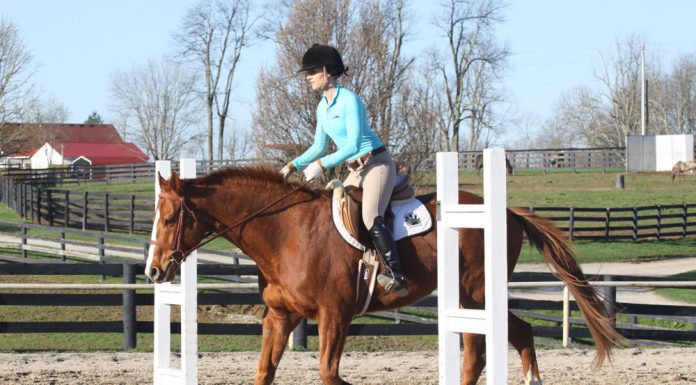 Trotting over ground poles