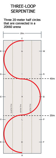 Three-loop serpentine-Serpentine horse exercise