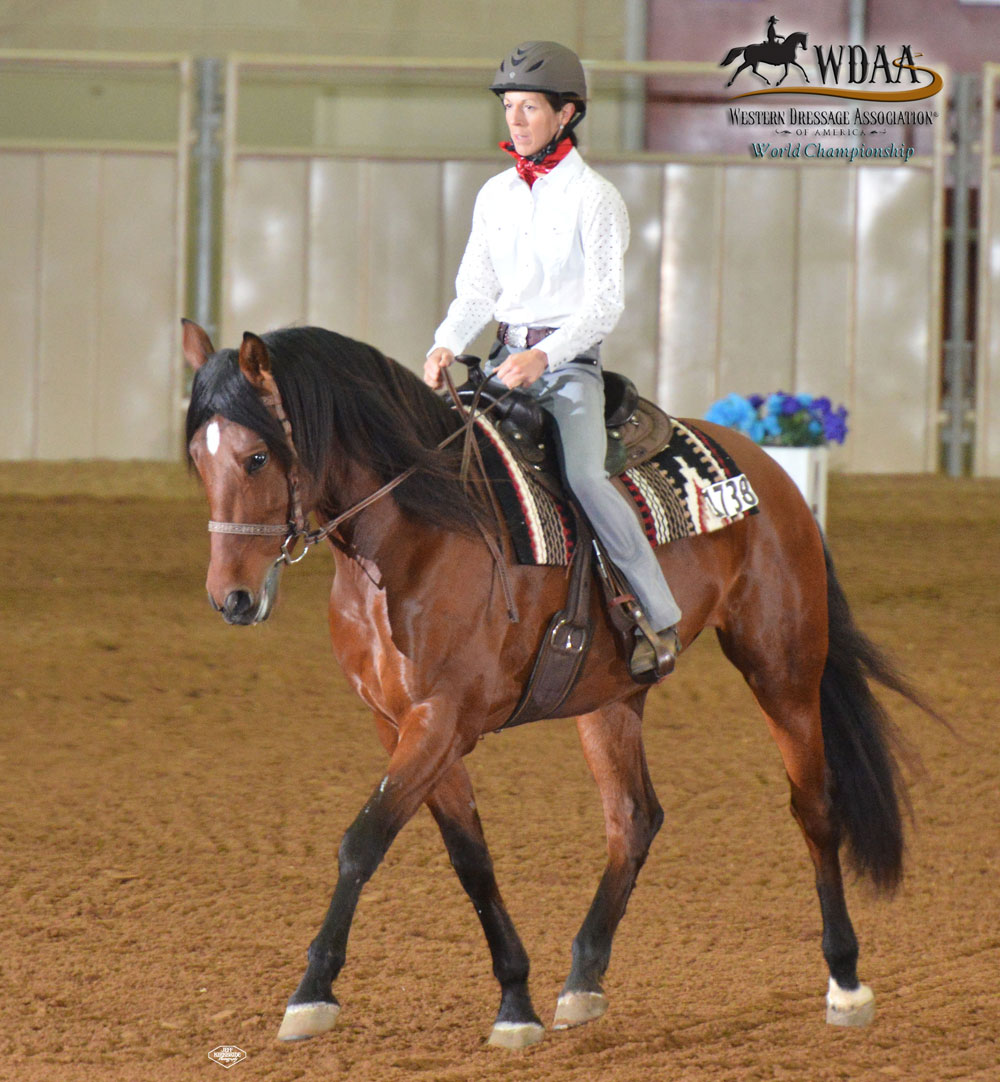 Western Dressage-Serpentine horse exercise