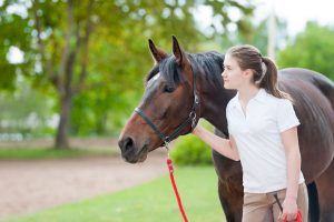 Equine Adoption Dos and Don’ts